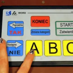 Ile jest testów na prawo jazdy? Zaskakujące fakty o egzaminie teoretycznym