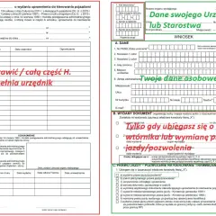 Jak wypełnić wniosek o wymianę prawa jazdy? Proste kroki i dokumenty