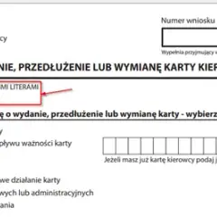 Gdzie sprawdzić kartę kierowcy? Kluczowe metody i ważne informacje.
