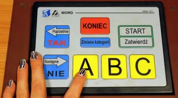 Ile jest testów na prawo jazdy? Zaskakujące fakty o egzaminie teoretycznym