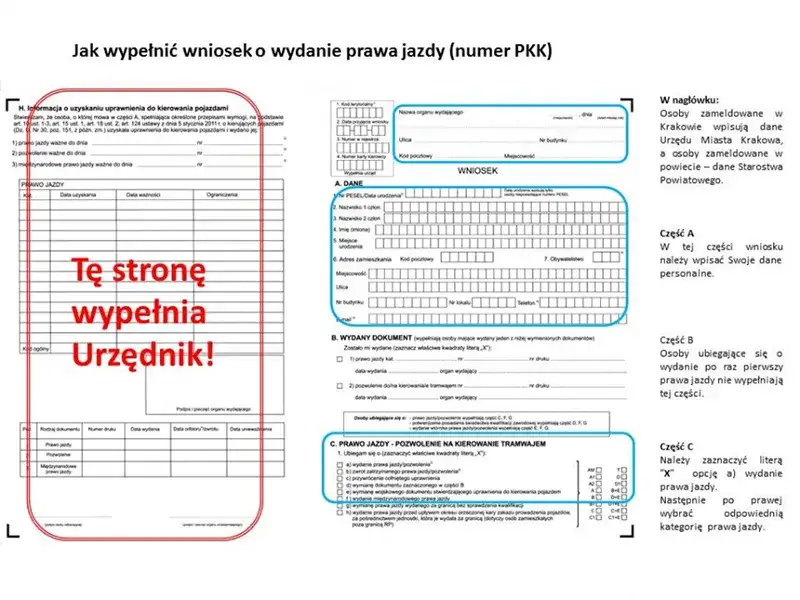 Zdjęcie Jak wyrobić profil kierowcy - krok po kroku do wymarzonego prawa jazdy